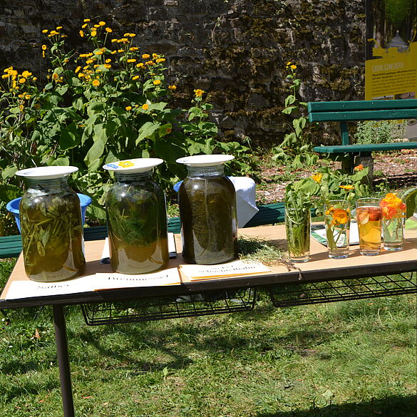 Ein Tisch mit Präparaten aus dem Kräutergarten.