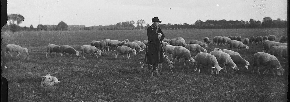 Ein Schäfer mit seiner Herde.