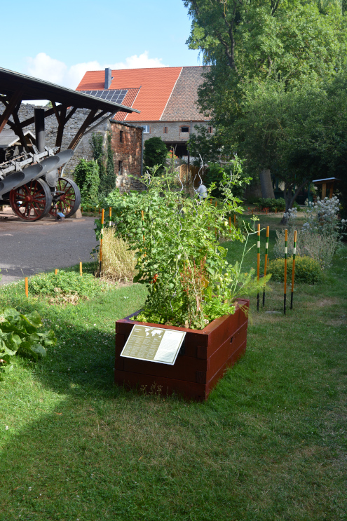 Hochbeet im Kräutergarten des Museums